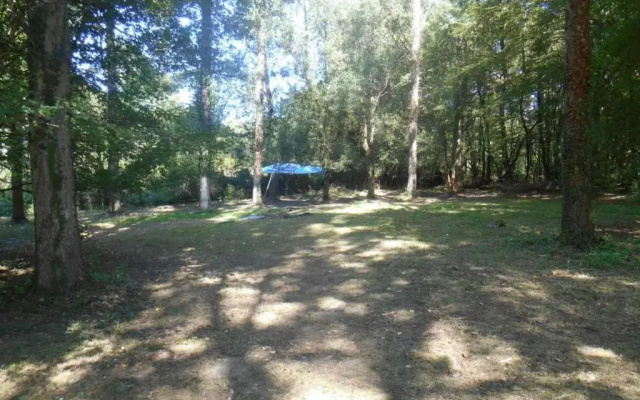 Gîte Souvigny-de-Touraine, 2 pièces, 2 personnes - FR-1-381-455