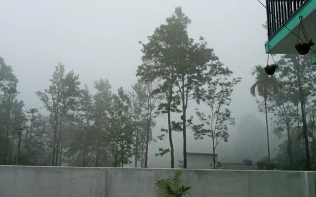 Wayanad Snow Vibes
