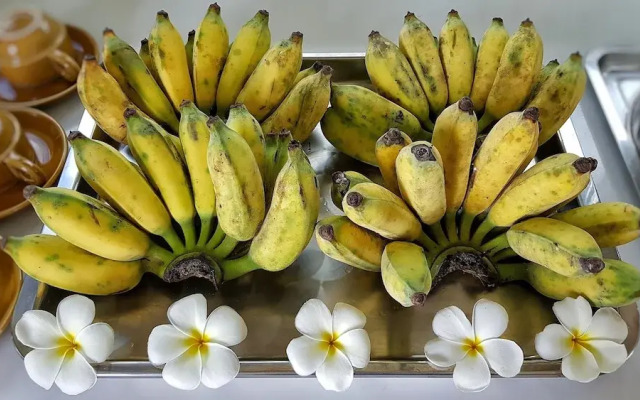 Bali Boutique Hotel Suratthani