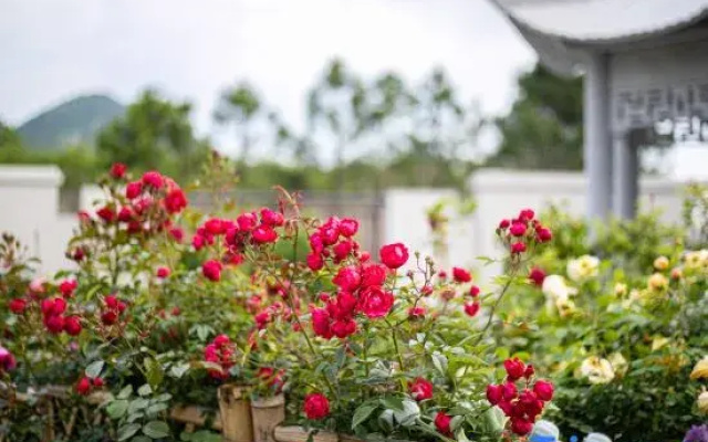 Floral Hotel·Zhujiajian Lianglu Hotel