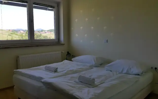 Apartments Plevnik