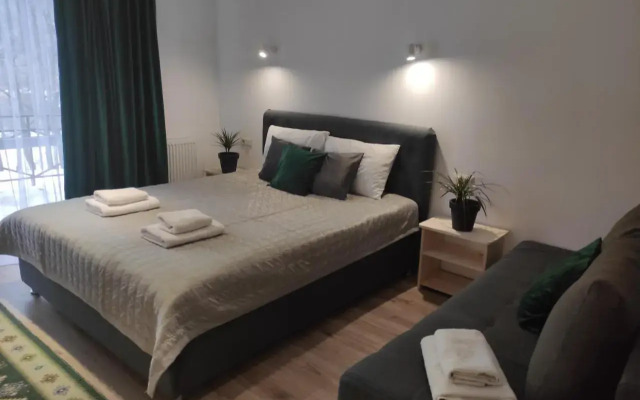 Guest House Svitliza