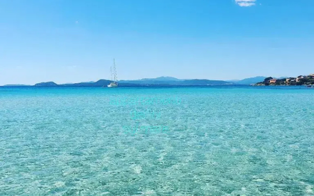 Appartamento delfini sul mare