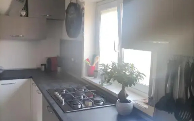 Timpa House Alle Pendici Dell'Etna