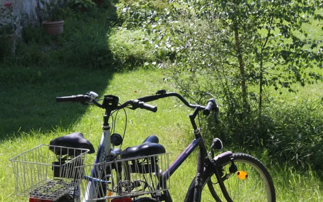Charmante Wohnung mit Terrasse in Steffenshagen