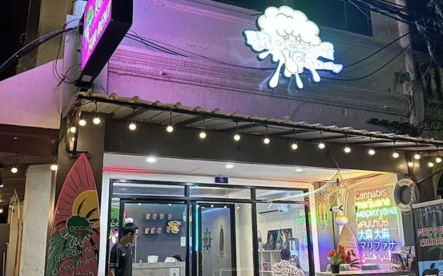 Broccoli candy hotels