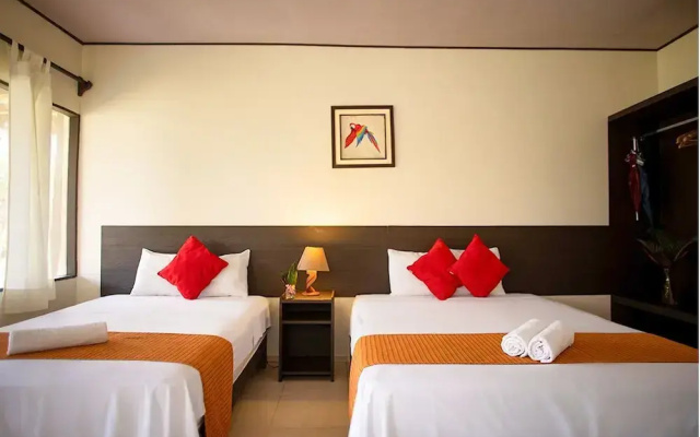 Irapay Amazon Lodge