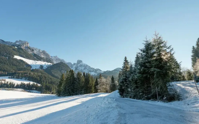 Chalet in Dachstein West With Shared Pool