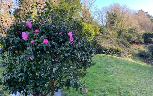 Maison Ty Traon -