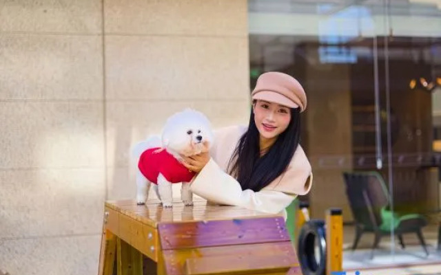 Holiday Inn Shanghai Tourism Zone by IHG