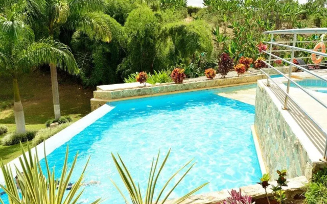 Loma Verde Premium