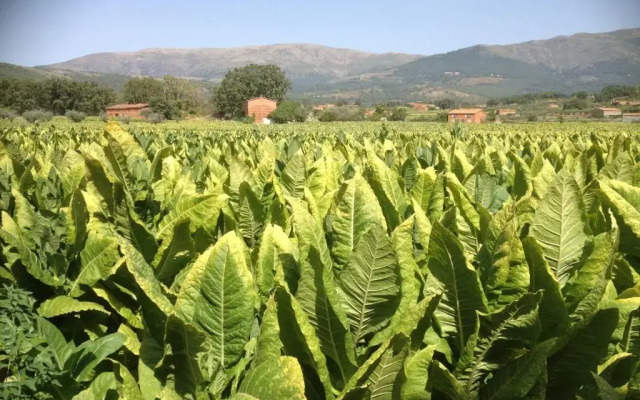 Hotel Rural Robles