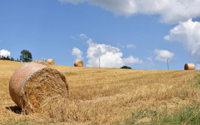 Agriturismo Collina Dei Fagiani