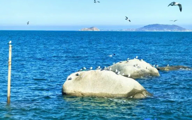 Chuyue retro light luxury space first-line sea view vacation arts