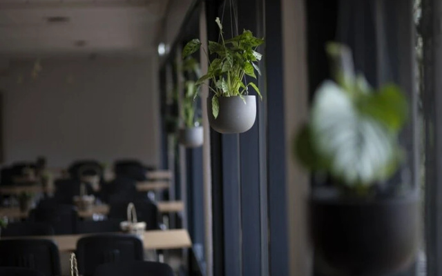 Hotel Jarl