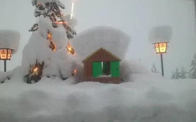 Gasthof Pension Berghof