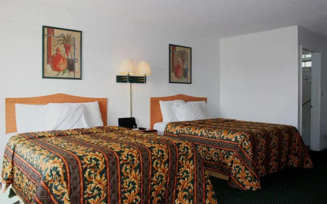 Amazon Motel