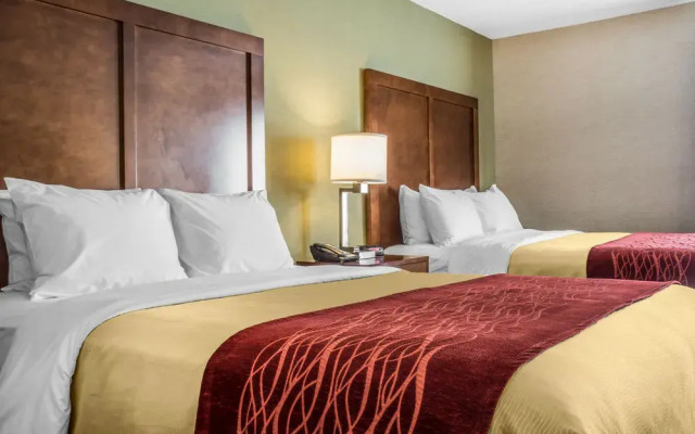 Comfort Inn Jamestown - Falconer