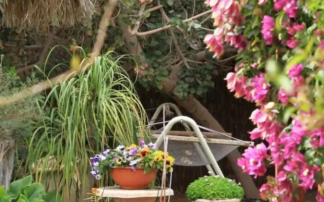 Idan Lodge in the Arava