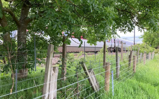 1br-sleeps2-field View-parking-cabin Experience