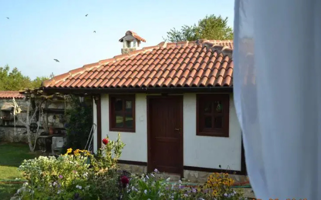 The Doctors House