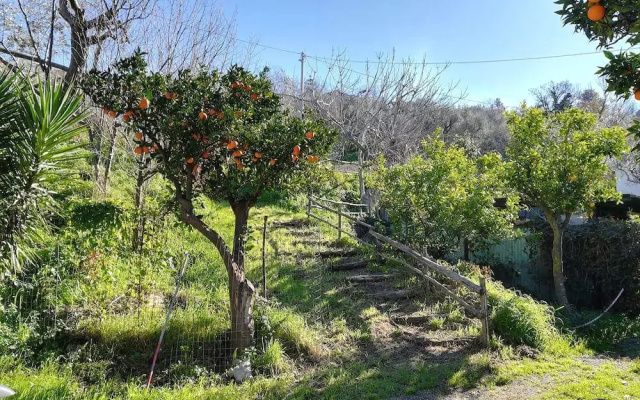 La Casa Di Rosy