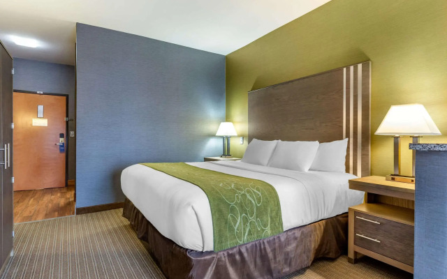 Comfort Suites Southgate-Detroit