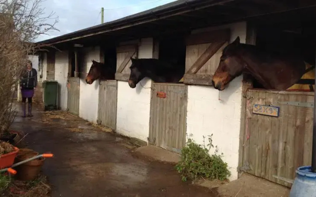 Martleaves Farm