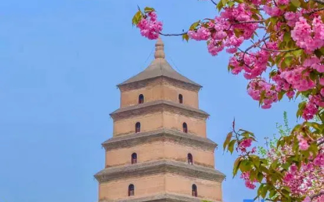 Starway Hotel Xi An Gaoxin Provincial Sports Train