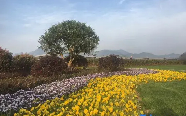 Huiyuan International Hotel