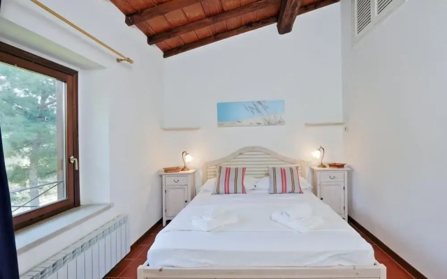 Pimpinnacolo 1 - 1BR M2