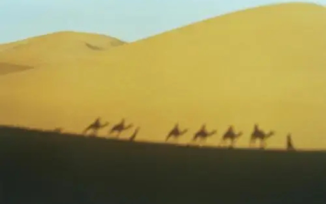 Bivouac Maroc Désert Zagora