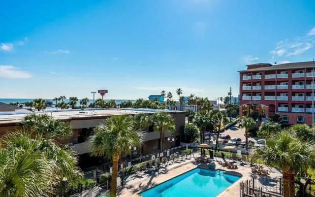 Beachfront Palms