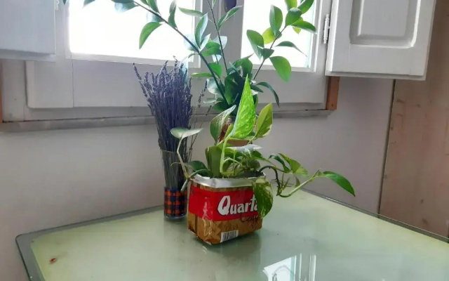 Curte Verde