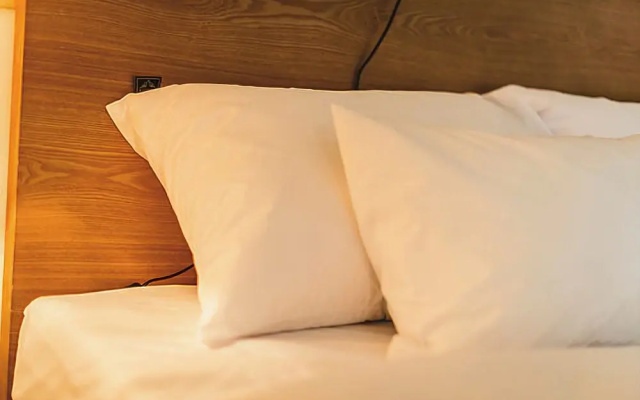 Chuncheon Rivermoon Spa Pension