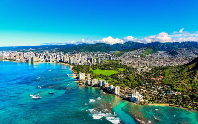 Hawaiian Monarch 2108