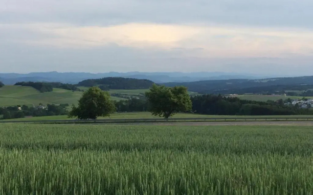Gästehaus Adler Albtal