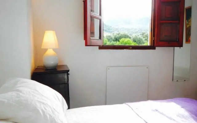 Finca La Rana Verde