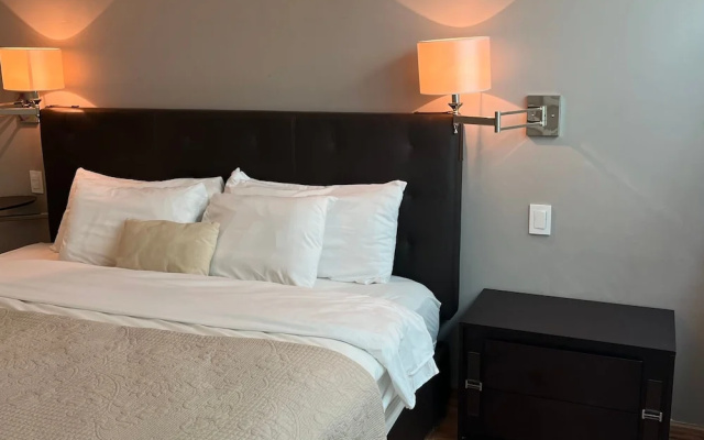 Arquimedes Art 105 I Spacious 1BR in Polanco