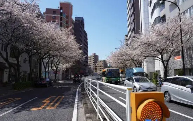 Real Life HIROO