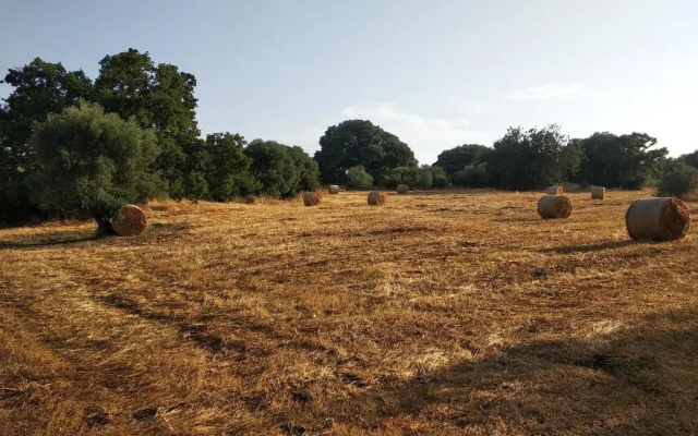 Piccolo Trullo Ostunese Le Jardin de Sophie'