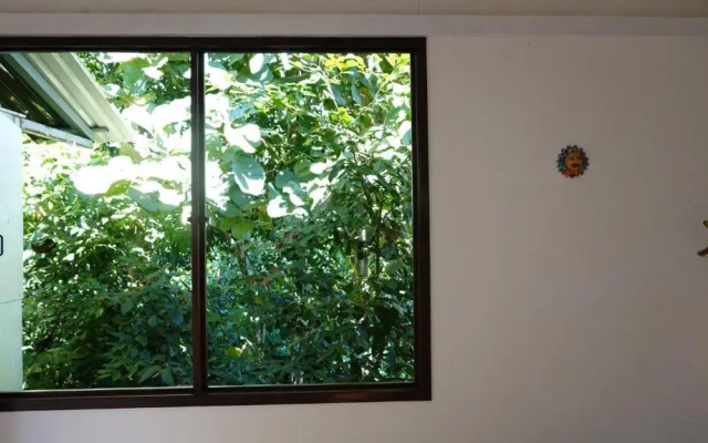 Osa de Rio