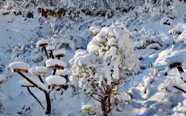 Floral Hotel · Qixi Hotel (Xuegu Scenic Area Branch)