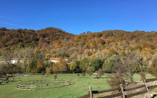 La Fattoria di Morgana