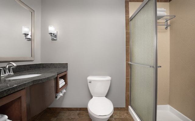Holiday Inn Hotel & Suites Durango Downtown by IHG