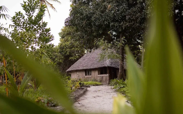 Afro Beach Safari
