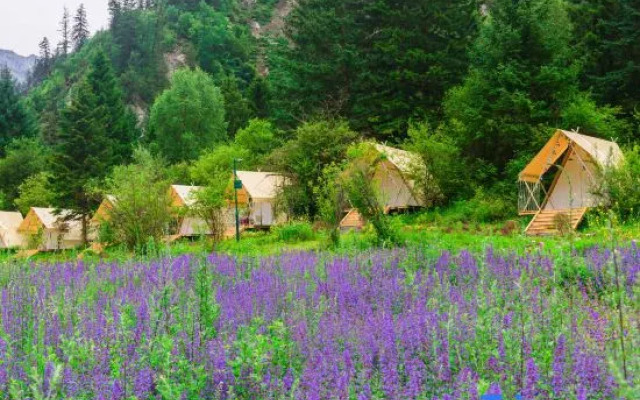 Ganhaizi Forest Camp
