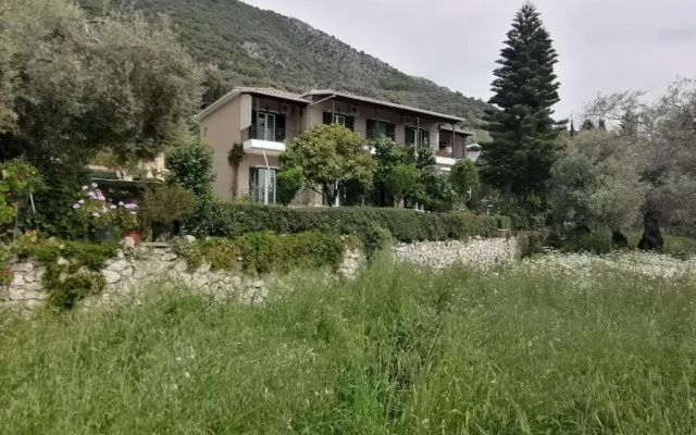Alexia Studios