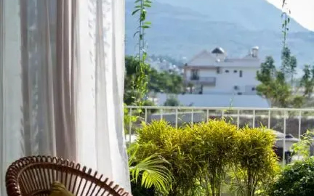Holi Terrace House