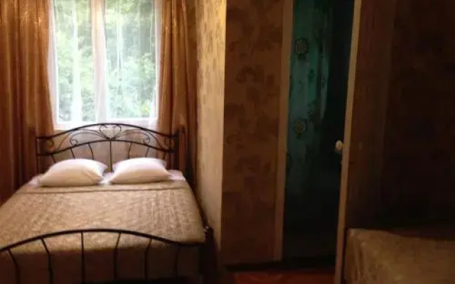 Guesthouse on Tsiolkovskogo Street 43